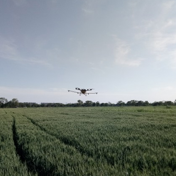 滄州泊頭小麥飛防作業(yè)！