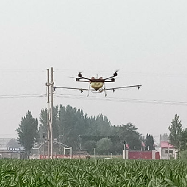 新樂玉米飛防作業(yè)