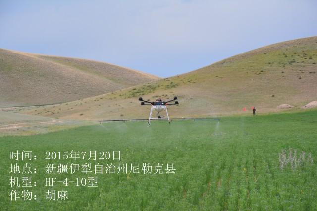 2015年7月20日伊犁尼勒克縣胡麻作業(yè)