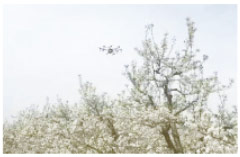 HF-6-10SF 多用途植物授粉無人機應用